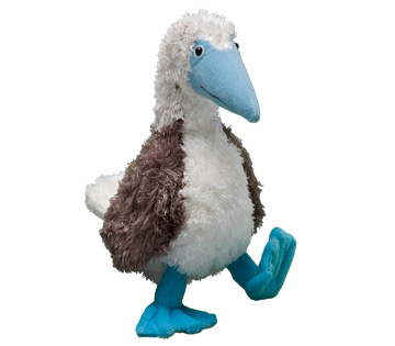 blue footed booby plush